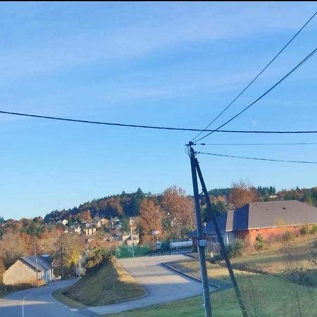 Lavignegite Bugeat Bagian luar foto