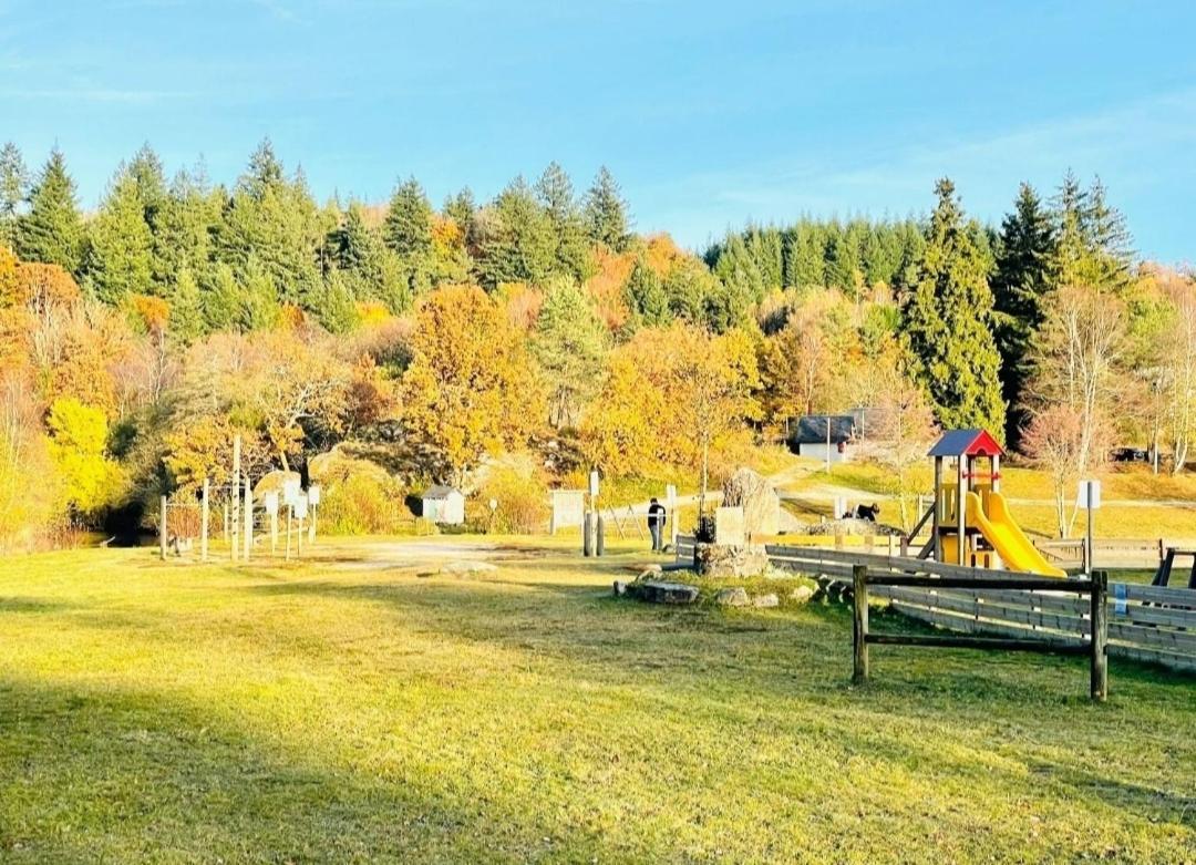 Lavignegite Bugeat Bagian luar foto